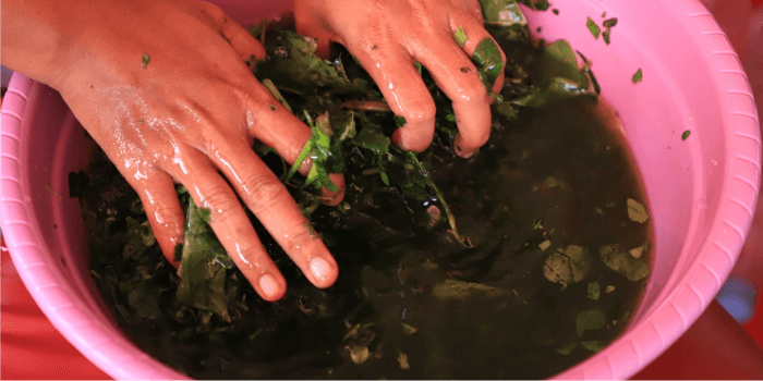 Biosaka : Harapan atau Ancaman? Terobosan Baru Pertanian Indonesia Menuju Ketahanan Pangan Nasional