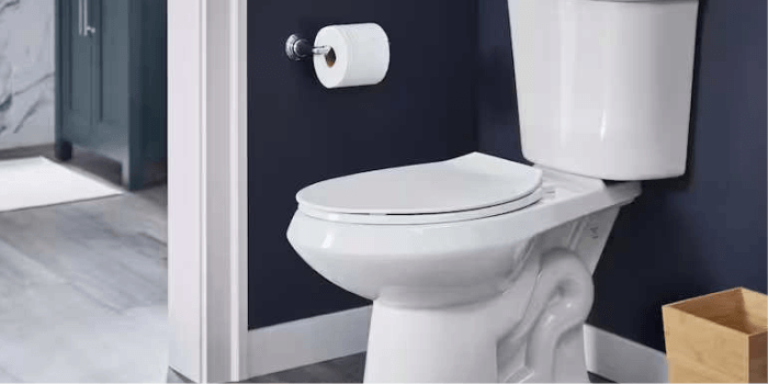 Toilet Kotor Bisa Jadi Bencana! Ini Pentingnya Menjaga Kebersihan Kamar Mandi untuk Kesehatan dan Kenyamanan Rumah Anda