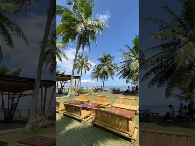 Cantiknya Pantai Salopi di Pinrang, Dipenuhi Pohon Kelapa dengan Pemandangan Memukau