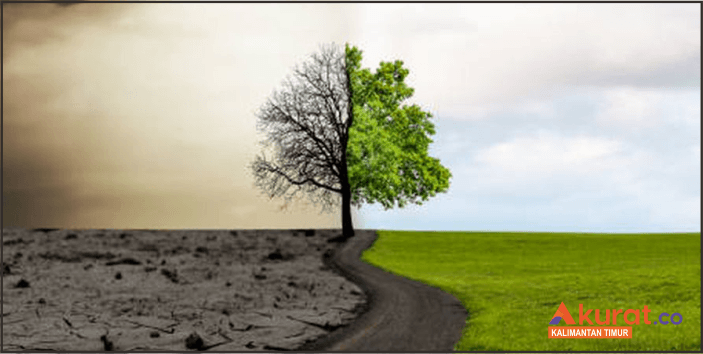 Waspada Hujan Ringan! Ini Prakiraan Cuaca Kaltim Hari Ini: Samarinda, Balikpapan, IKN dan Sekitarnya