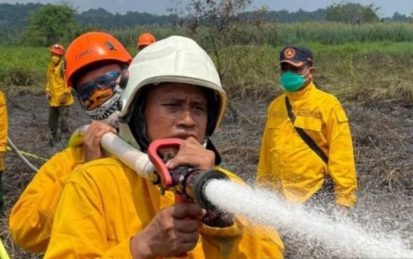 Pagar Betis Jadi Strategi Antisipasi Karhutla di Lingkar IKN