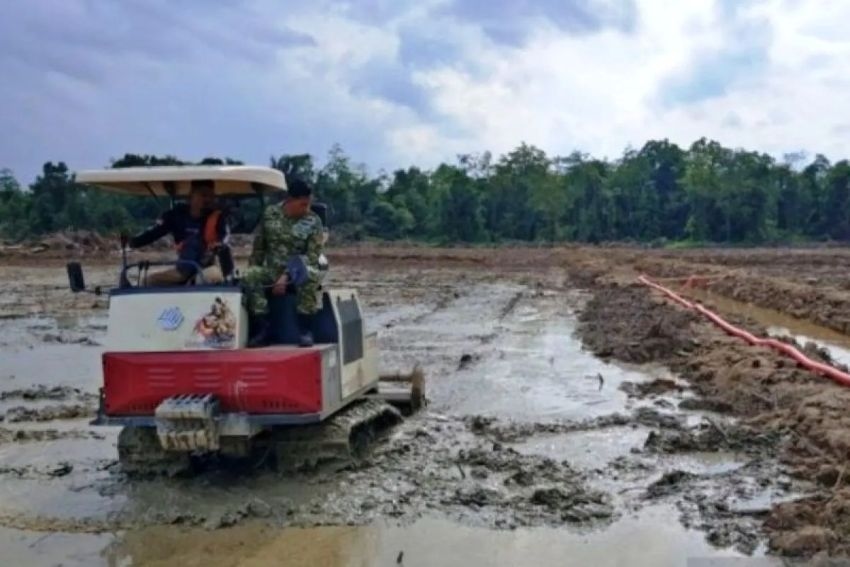 Kutai Timur Rogoh Kocek Rp500 Juta untuk Asuransi Padi