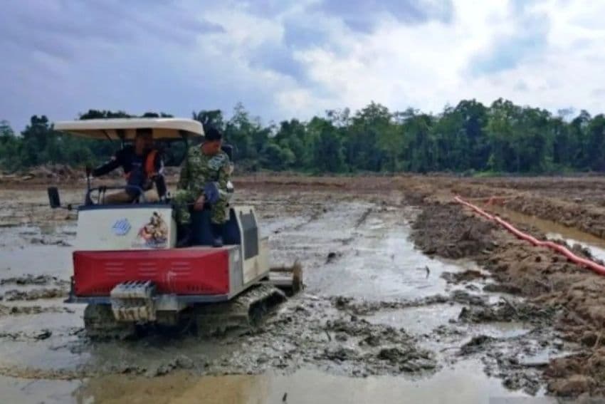 Kutai Timur Rogoh Kocek Rp500 Juta untuk Asuransi Padi