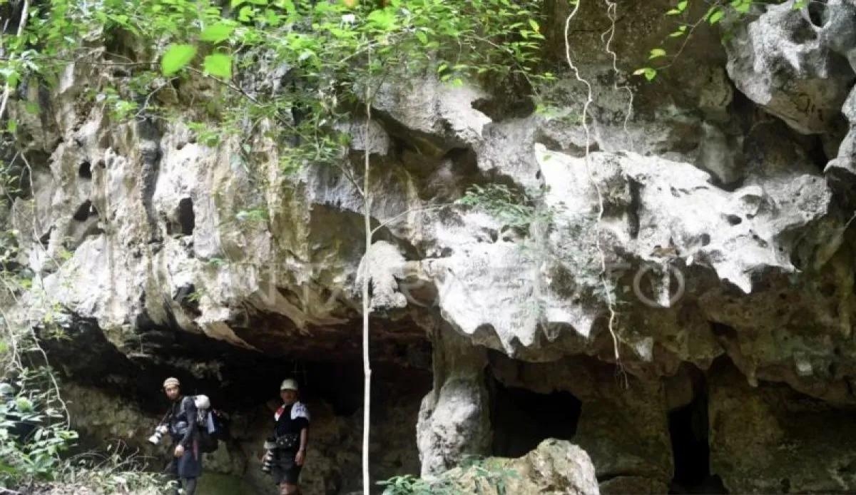 Kaltim Percepat Jadikan Karst Sangkulirang-Mangkalihat sebagai Geopark Dunia