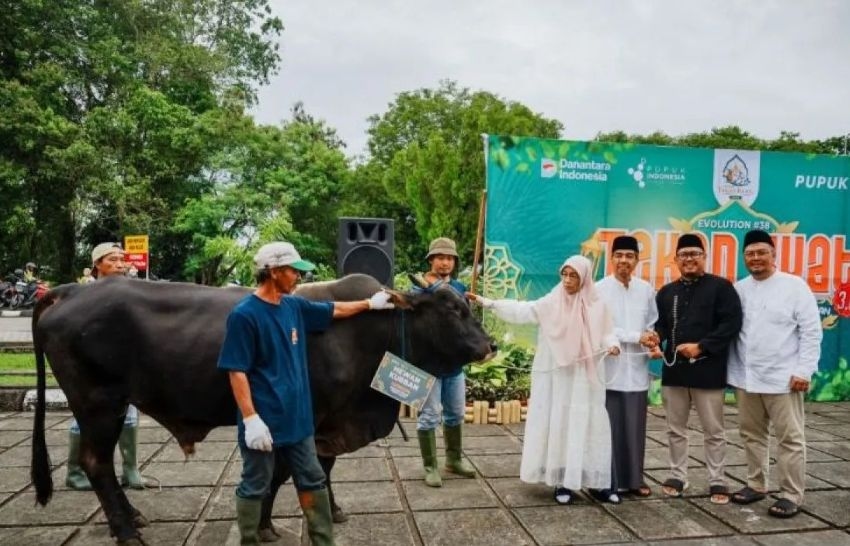 Di Bontang, Pupuk Kaltim Salurkan Daging Kurban kepada Ribuan Penerima Manfaat