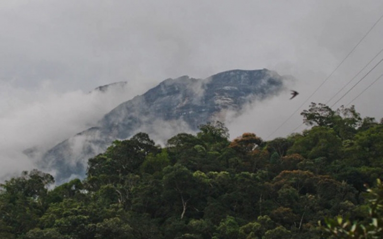 Otorita IKN Jajaki Peluang Pendanaan Iklim Melalui NFCP