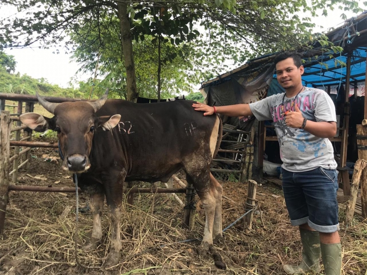 Disternak: Hewan Kurban Yang Masuk Kaltim Wajib Pakai Penanda Telinga