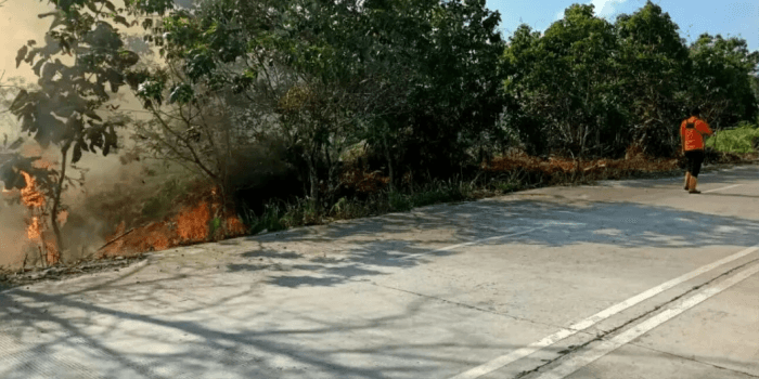 Titik Api di Kaltim turun menjadi 26