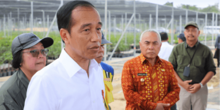 Kami sedang menyiapkan persemaian Mentawir menjadi IKN hijau