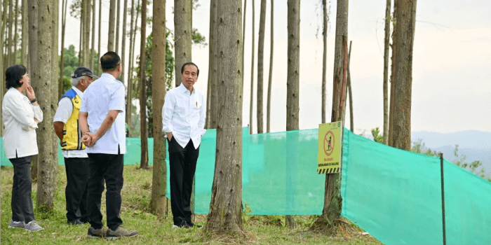 Presiden Jokowi mengajak para menteri menikmati pemandangan pagi IKN Nusantara.