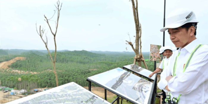 Pembangunan Istana Kepresidenan dan infrastruktur dasar IKN berjalan dengan baik, ungkap Presiden Jokowi