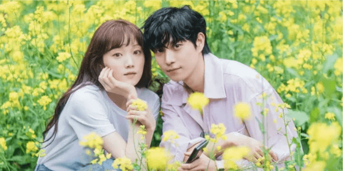 Terdapat 5 Drama Korea yang menceritakan kisah percintaan selebriti.