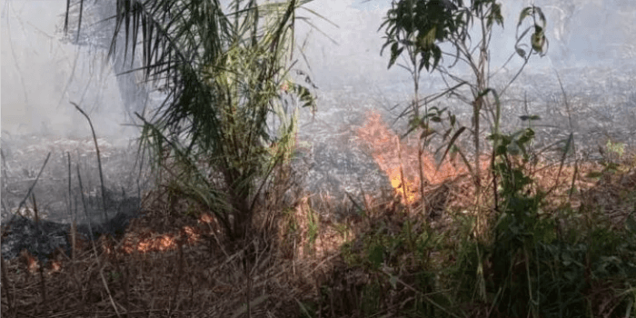 Masih terdapat delapan titik panas di Kalimantan Timur.