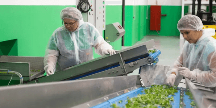 Mengenal Biaya Produksi : Unsur, Jenis, dan Cara Menghitungnya