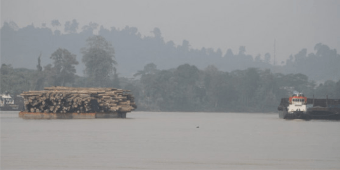 Berau Ditutupi Kabut Asap Kiriman dari Kalsel dan Kalteng, Warga Diimbau Pakai Masker