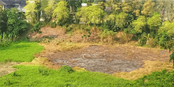 Kebakaran Lahan di Samping Hotel Mesra Samarinda Diduga Akibat Kesengajaan