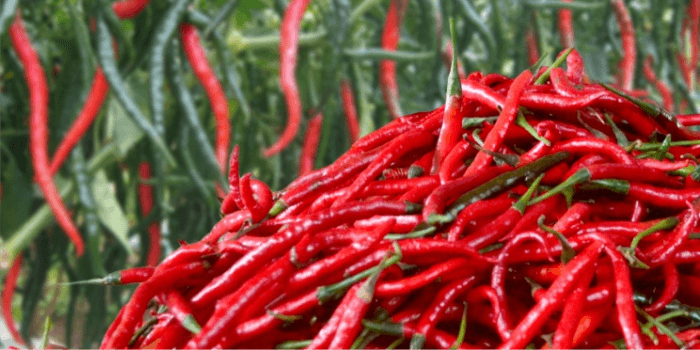 Kenaikan Harga Bahan Pokok di Pasar Segiri Samarinda, Cabai Keriting Tembus Rp60 Ribu per Kg