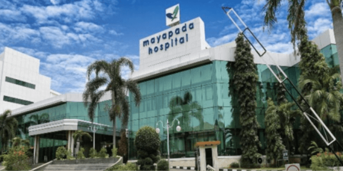 Presiden Jokowi Resmikan Groundbreaking Rumah Sakit Ramah Lingkungan Mayapada Hospital Nusantara di IKN