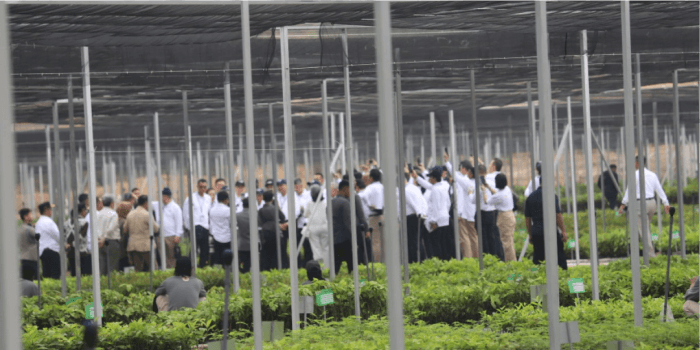 Melihat Kemajuan, Presiden Jokowi Ajak 100 CEO Kunjungi Persemaian Mentawir