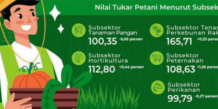 Kenaikan Harga Unggas Dongkrak Kenaikan Nilai Tukar Peternak di Kalimantan Timur