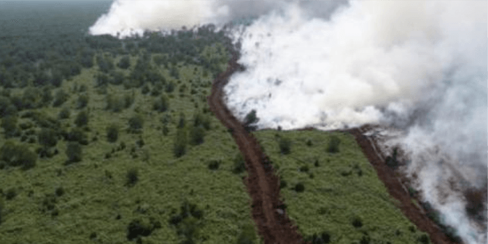 Jumlah Titik Panas di Provinsi Kaltim Terus Menurun Menurut BMKG