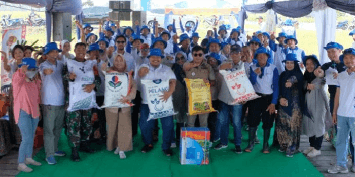 Dorong Kemandirian Petani: Program Makmur Pupuk Kaltim Meningkatkan Hasil Padi di Pinrang hingga 9,1 Ton