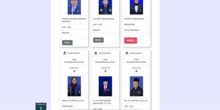 Didzolimi dan Perjuangan Anang Rosadi Pasca Masuknya Rifqinizamy Dalam DCT DPR RI NasDem