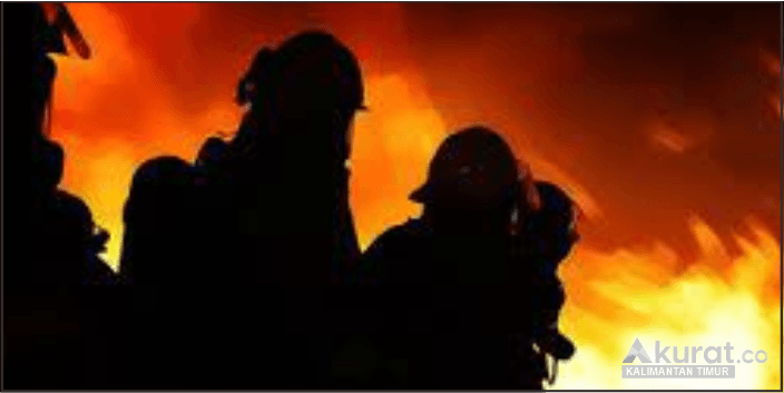 Jumlah Titik Panas di Kalimantan Timur Terus Menurun, BMKG: Dampak Curah Hujan dan Kesadaran Warga
