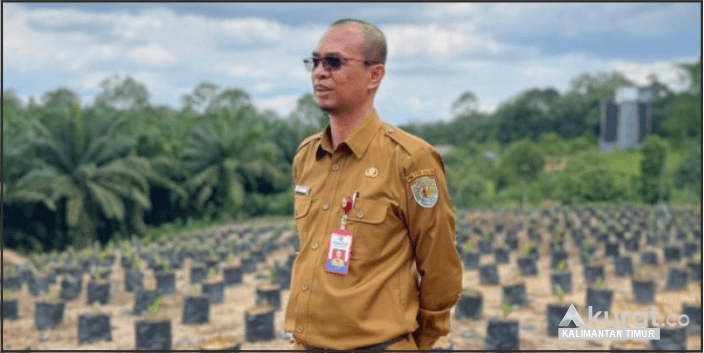 Kualitas Benih, Kunci Utama Kesuksesan Usaha Perkebunan: Langkah Dinas Perkebunan Kaltim Mendorong Produktivitas yang Bermutu