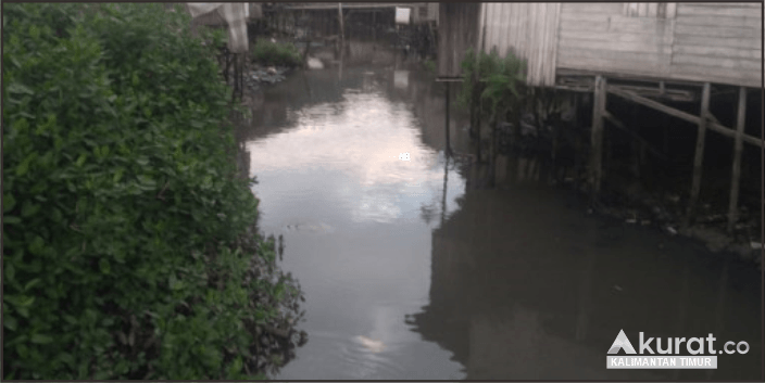Dugaan Tumpahan BBM di Anak Sungai Mahakam, Samarinda: Warga Resah dengan Aroma Minyak yang Mengganggu