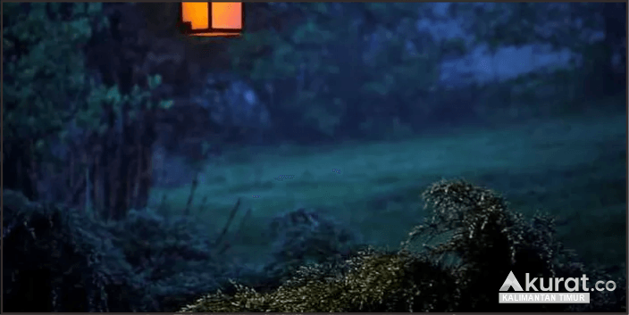 Mengungkap Misteri di Balik Pesona Hutan Kalimantan: Kisah Kerajaan Gaib dan Mitos Mistis