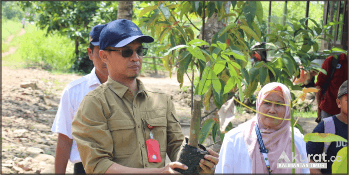 Dinas Perkebunan Kaltim Salurkan Bantuan Bibit Karet dan Pupuk untuk Kelompok Tani