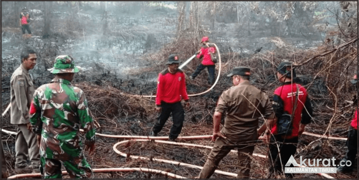 BMKG Deteksi 47 Titik Panas, Potensi Kebakaran Hutan di Kalimantan Timur