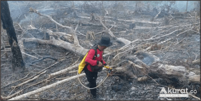 BMKG Deteksi 22 Titik Panas di Kalimantan Timur: Potensi Kebakaran Hutan dan Lahan Meningkat