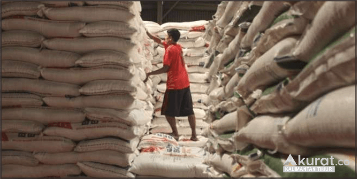 Ketahanan Pangan Menjadi Prioritas Utama dalam Pengembangan Ibu Kota Nusantara (IKN)