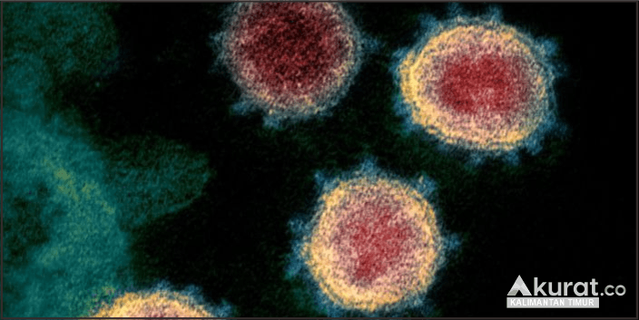 Kasus Covid-19 Meningkat di Indonesia Akibat Varian Sub-Omicron: Gejala dan Peringatan yang Harus Diwaspadai