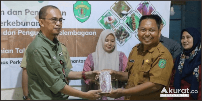 Dinas Perkebunan Kaltim Mengakselerasi Pembentukan Koperasi Petani Gula Aren untuk Daya Saing Tinggi