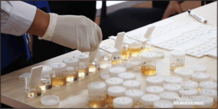 Diskominfo Kaltim dan BNNP Menggelar Tes Urine Bagi Non-ASN: Aksi Nyata Lawan Narkoba
