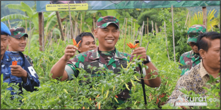 Danrem 091/ASN Brigjen TNI Yudhi Prasetiyo Bersama Pemerintah Kota Samarinda Panen Raya Cabai untuk Dukung Ketahanan Pangan