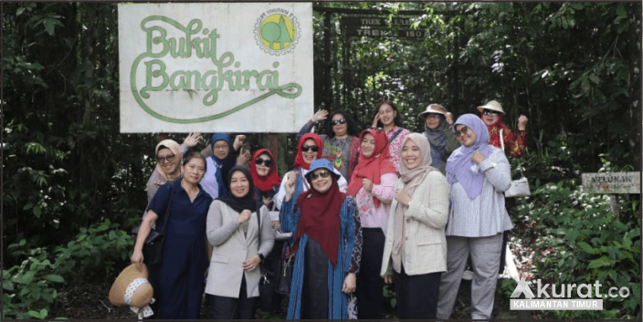 Eksplorasi Wisata Alam di Bukit Bangkirai, Pesona Tak Tertandingi Kalimantan Timur