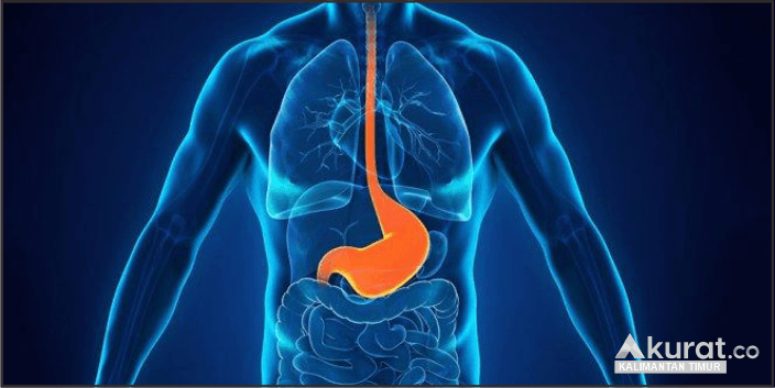 Mengatasi GERD dengan Bijak: Diet Sehat untuk Redakan Gejala Refluks Asam