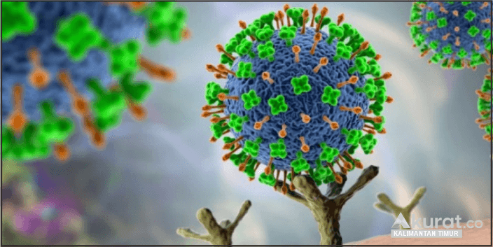Update Covid-19 Kaltim 16 Januari 2024: Pasien Positif dan Sembuh Bertambah, Masyarakat Diminta Waspada
