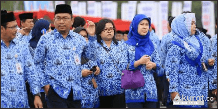 Peluang Emas! Fresh Graduate Siap-Siap, Pendaftaran CPNS 2024 Kian Terbuka Lebar