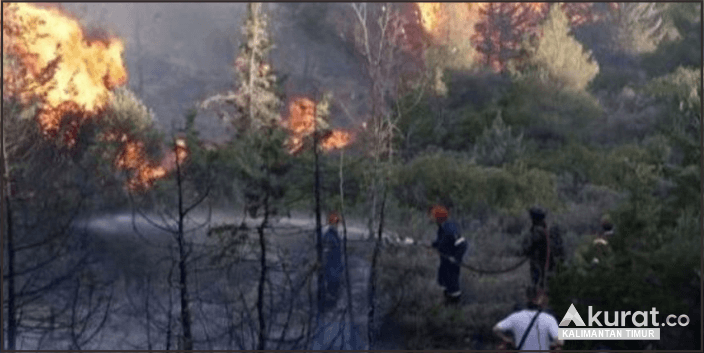 Deteksi BMKG: 144 Titik Panas Mengancam Kalimantan Timur, Imbauan Waspada Dikeluarkan