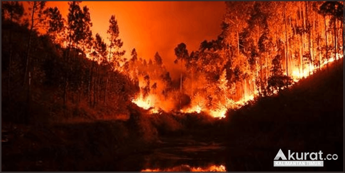 216 Titik Panas Memburuk, BMKG Balikpapan Menggugah Kewaspadaan Kalimantan Timur