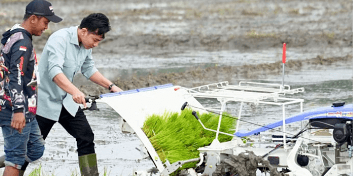 Panduan Lengkap untuk Hasil Panen Maksimal