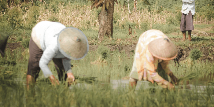 Bertani dengan Meniru Kehidupan, Bukan Mengendalikannya